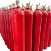 CO2 Automatic Fire Suppression Systems